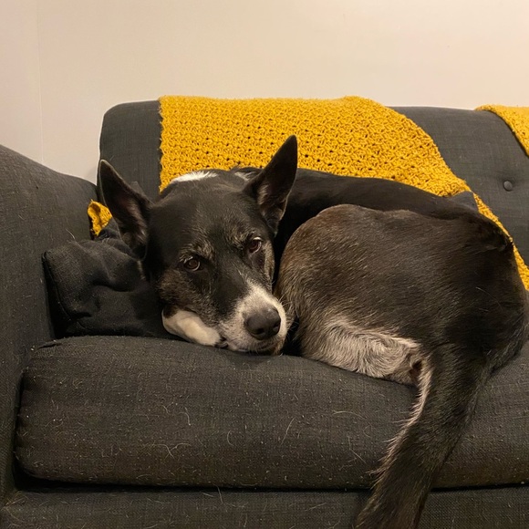 Meet your Posher, Emily - Picture 1 of 1